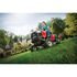Pony® 42 Riding Lawn Mower  twin-blade deck and a 500cc