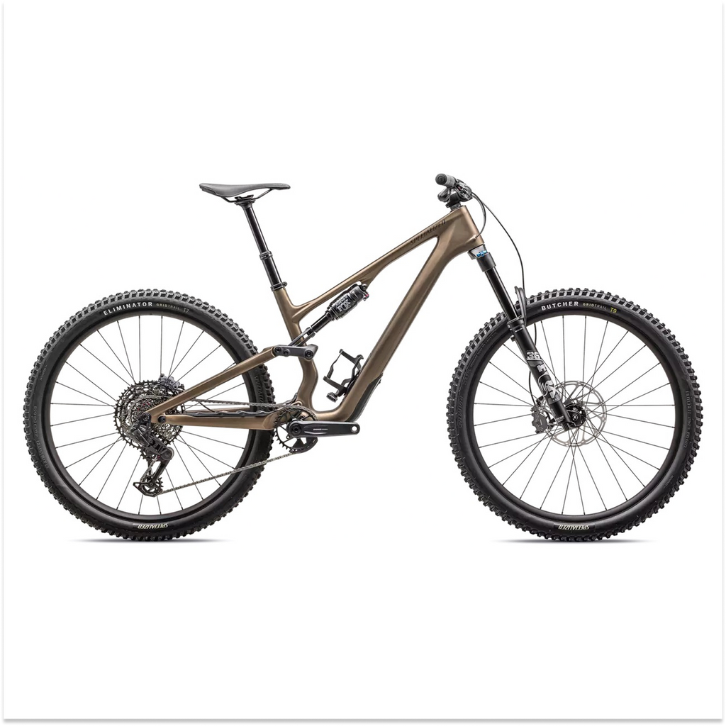 Specialized Stumpjumper 15
