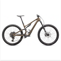 Specialized Stumpjumper 15