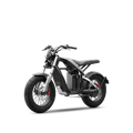 Segway Xyber boldest adventures Electric Bike