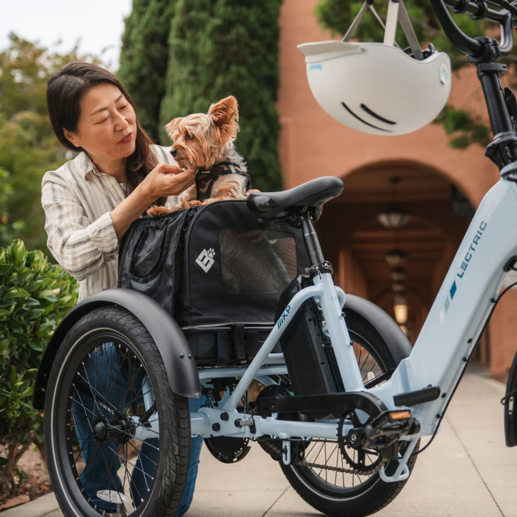 lectric ebikes Lectric XP Electric Trike in Stratus White Adult Folding Electric Trike