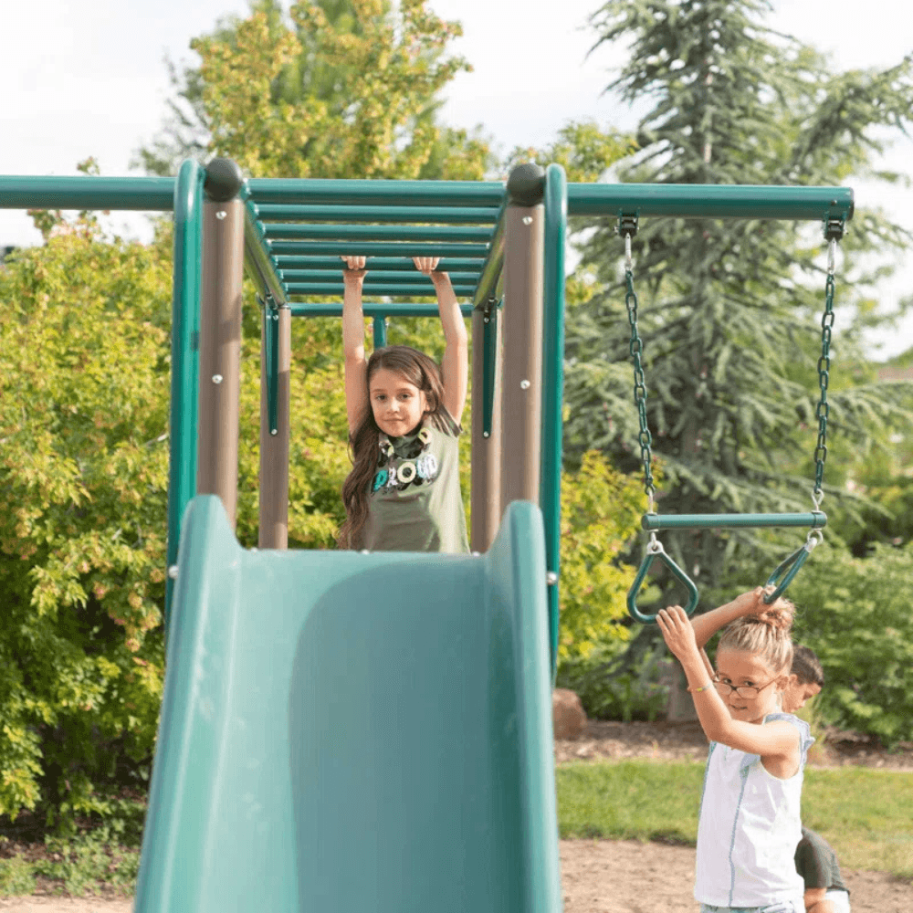 Lifetime Powder Coated Steel Swing Set with 4 Swing(s) , 1 Slide(s)